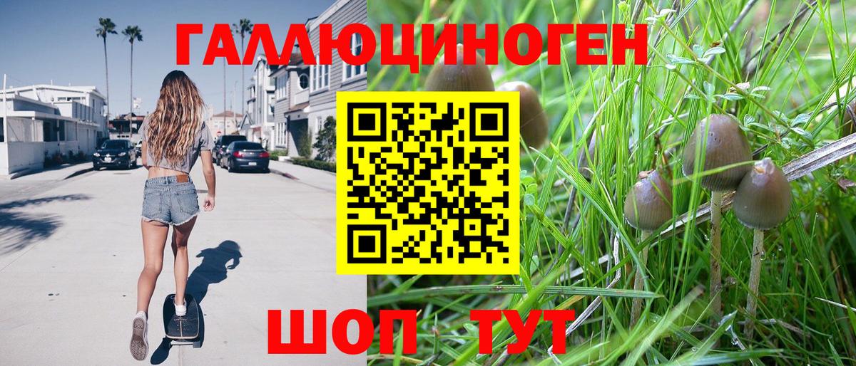 Мценск  Галлюциногенные грибы Psilocybine cubensis  Вход с VPN 